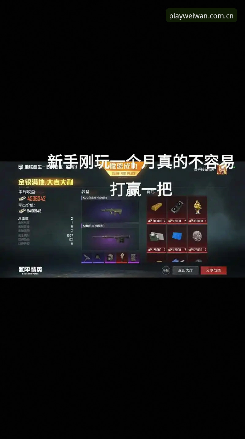 揭秘微玩体育APP登录背后的完整攻略：从新手到高手的必经之路
